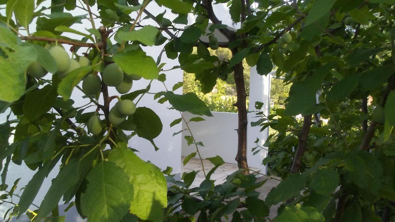 Kuca Za Odmor Maka Villa Kučiće Dış mekan fotoğraf