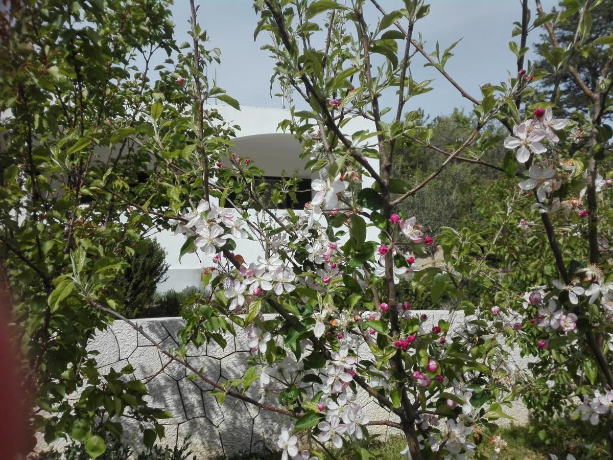 Kuca Za Odmor Maka Villa Kučiće Dış mekan fotoğraf