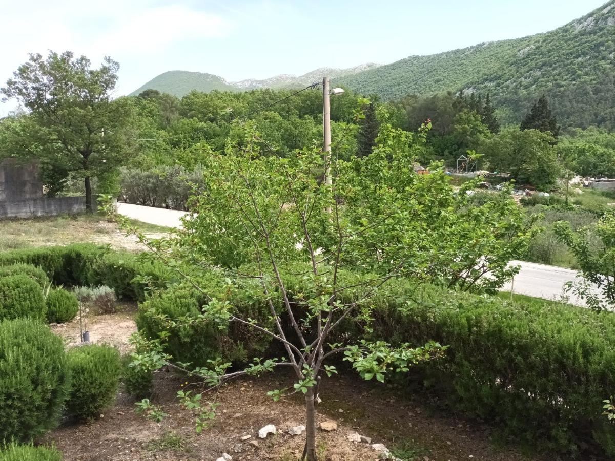 Kuca Za Odmor Maka Villa Kučiće Dış mekan fotoğraf
