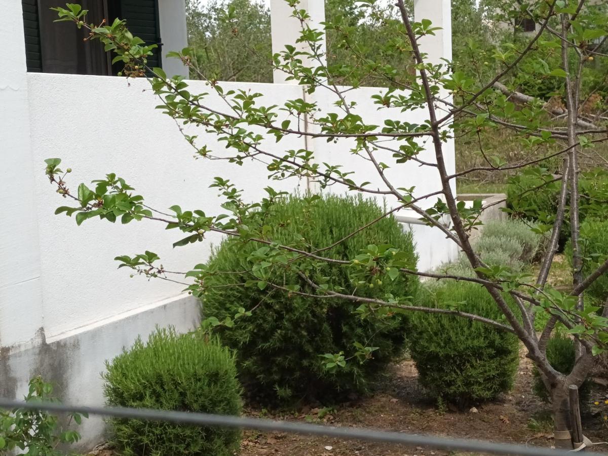 Kuca Za Odmor Maka Villa Kučiće Dış mekan fotoğraf